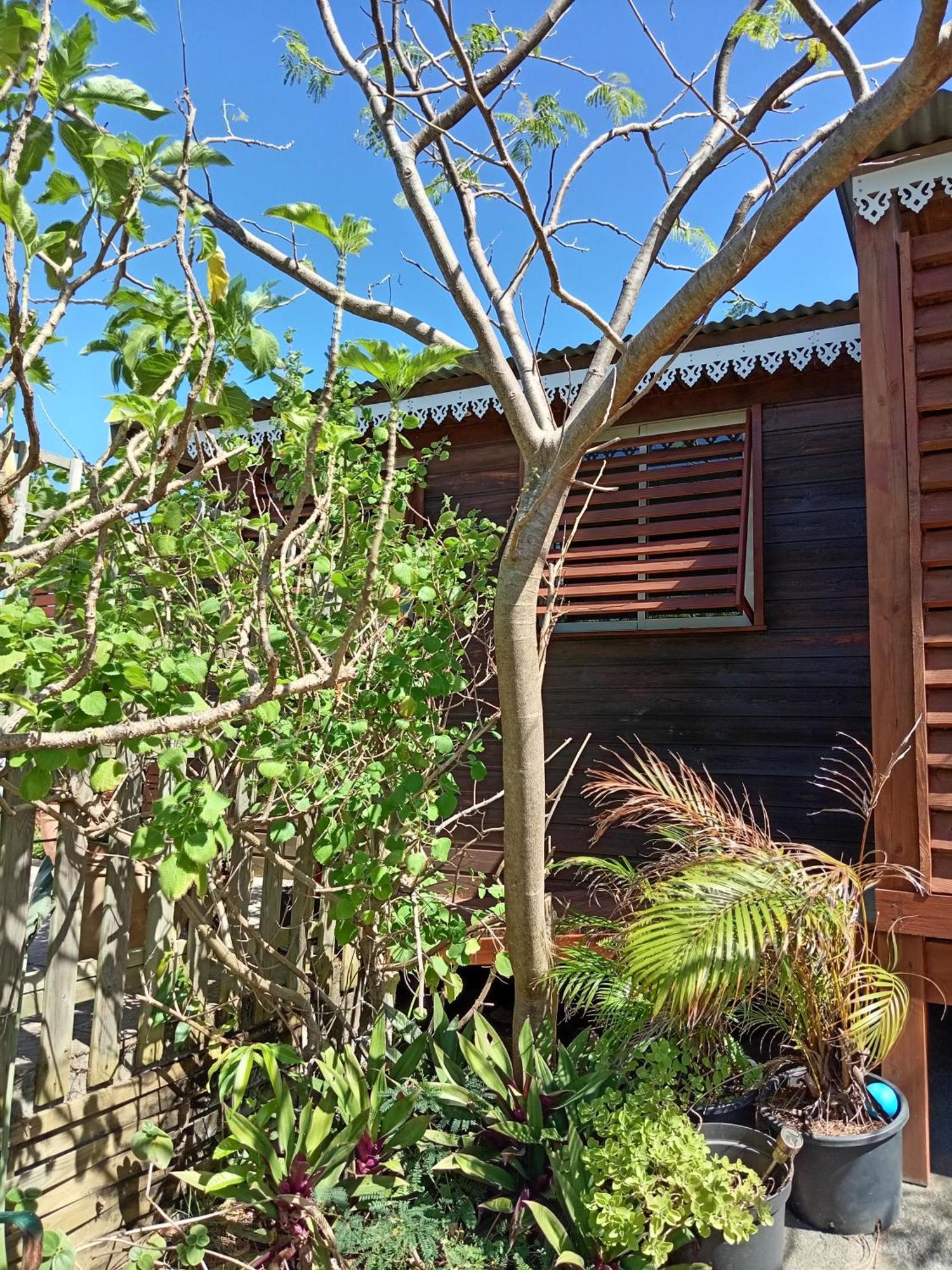 Location Bord Ocean, Holi-Wood Villa Saint-Joseph Buitenkant foto